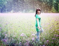 爱草视频,探索绿色生活，共享自然之美